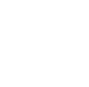 IVOS-SOARES.png